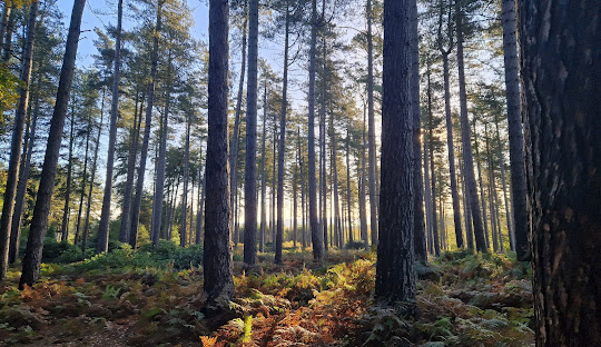 Cannock town centre Staffordshire